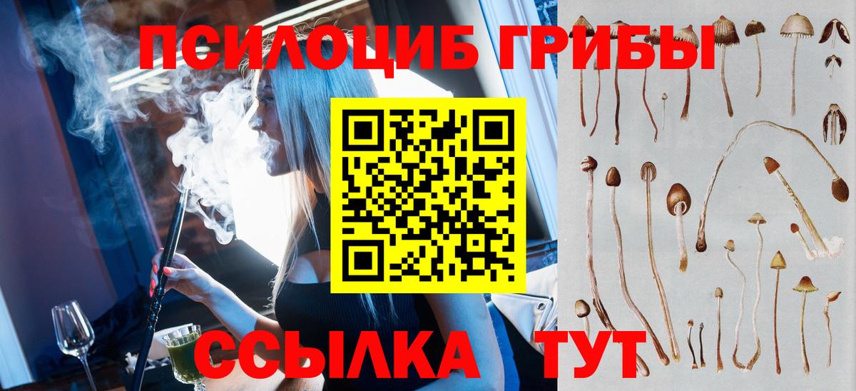 Галлюциногенные грибы Cubensis Ейск